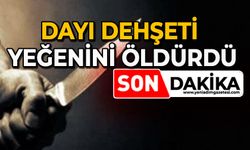 Dayı dehşeti: Yeğenini öldürdü