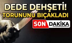 Dede, kavgada torununu bıçakladı