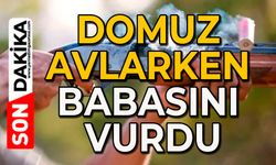 Domuz avlarken babasını vurdu