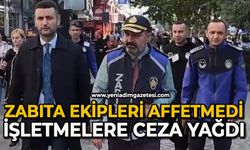 İşgaliye ve kirliliğe neden olan işletmelere ceza kesildi
