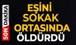 Eşini sokak ortasında öldürdü