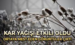 Kar yağışı etkili oldu: Ortaya mest eden görüntüler çıktı