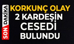 Korkunç olay: 2 kardeşin ceseti bulundu