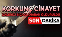 Korkunç cinayet: Galerici bıçaklanarak öldürüldü