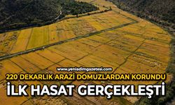 220 Dekarlık arazi domuzlardan korundu: İlk hasat gerçekleşti