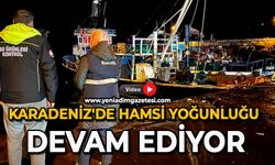 Karadeniz'de hamsi yoğunluğu devam ediyor