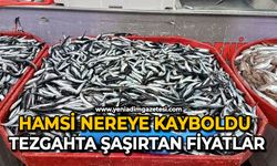 Hamsi nereye kayboldu: Tezgahta şaşırtan fiyatlar