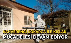 Kahverengi kokarca ile kışlak mücadelesi devam ediyor