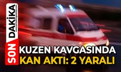 Kuzenlerin kavgasında kan aktı: Yaralılar var
