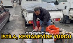 Kuraklık ve gal arısı istilası ünlü kuzu kestanesini de vurdu