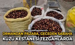 Ormandan pazara, geceden sabaha: Kuzu kestanesi tezgâhlarda