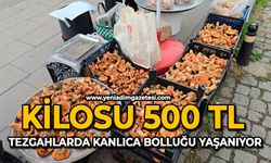 Kilosu 500 TL: Tezgahlarda kanlıca bolluğu yaşanıyor