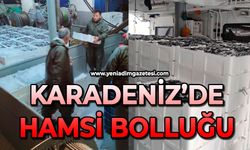 Karadeniz’de hamsi bolluğu