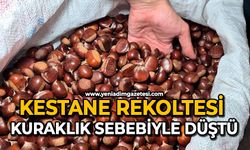 Kestane rekoltesi kuraklık sebebiyle düştü