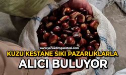 Kuzu kestane sıkı pazarlıklarla alıcı buluyor