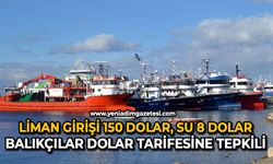 Liman girişi 150 dolar, su 8 dolar: Ereğli’de balıkçılar dolar tarifesine tepkili