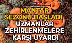 Mantar sezonu başladı: Uzmanlar zehirlenmelere karşı uyardı