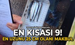 En kısası 9 en uzunu 25 santimetre olanı makbul