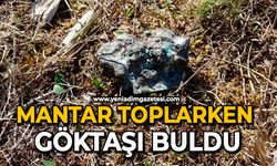 Mantar toplarken göktaşı buldu