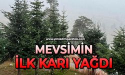 Mevsimin ilk karı yağdı
