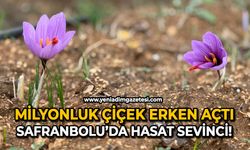 Milyonluk çiçek erken açtı: Safranbolu’da hasat sevinci!