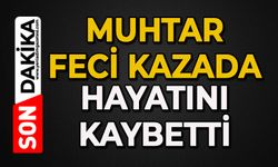 Muhtar feci kazada can verdi