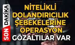 Nitelikli dolandırıcılık şebekelerine operasyon: Gözaltılar var