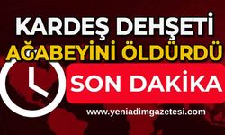 Abisini öldürüp ahırın temeline gömdü