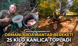 Ormanlarda mantar bereketi: 25 kilo kanlıca topladı