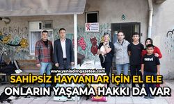 Sahipsiz hayvanlar için el ele: Onların yaşama hakkı da var
