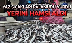 Yaz sıcakları palamudu vurdu, yerini hamsi aldı