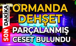 Ormanda dehşet: Parçalanmış ceset bulundu