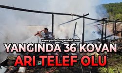 Korkutan yangında 36 kovan arı telef oldu