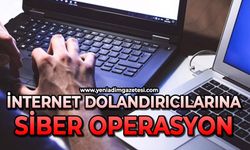 İnternet dolandırıcılarına siber operasyon
