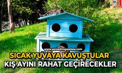 Sıcak yuvaya kavuştular: Kış ayını rahat geçirecekler