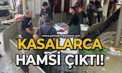 Kasalarca hamsi çıktı