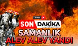 Samanlık alev alev yandı