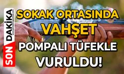 Sokak ortasında vahşet: Pompalı tüfekle vuruldu!