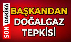 Başkandan doğalgaz tepkisi