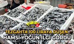 Tezgahta 100 liraya düşen hamsi yoğun ilgi gördü