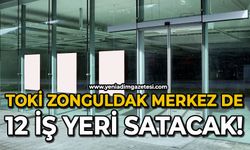 TOKİ Zonguldak Merkez'de 12 iş yeri satışı yapacak