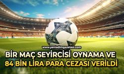 Bir maç seyircisi oynama ve 84 bin lira para cezası verildi