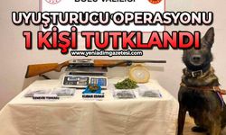 Uyuşturucu operasyonu: 1 tutuklama