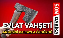 Annesini baltayla öldürdü