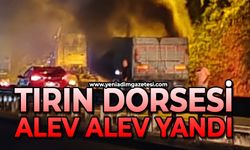 Tırın dorsesi alev alev yandı