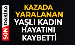 Kazada yaralanan yaşlı kadın hayatını kaybetti