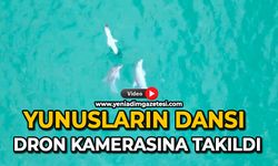 Yunusların dansı dron kamerasına takıldı