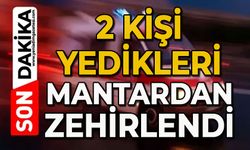 İki kişi yedikleri mantardan zehirlendi