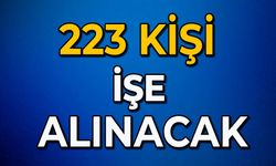 223 kişi işe alınacak