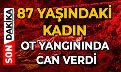 87 yaşındaki kadın ot yangınında can verdi